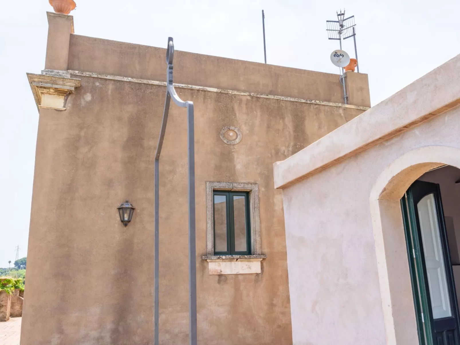 Avocado Garten-Inside