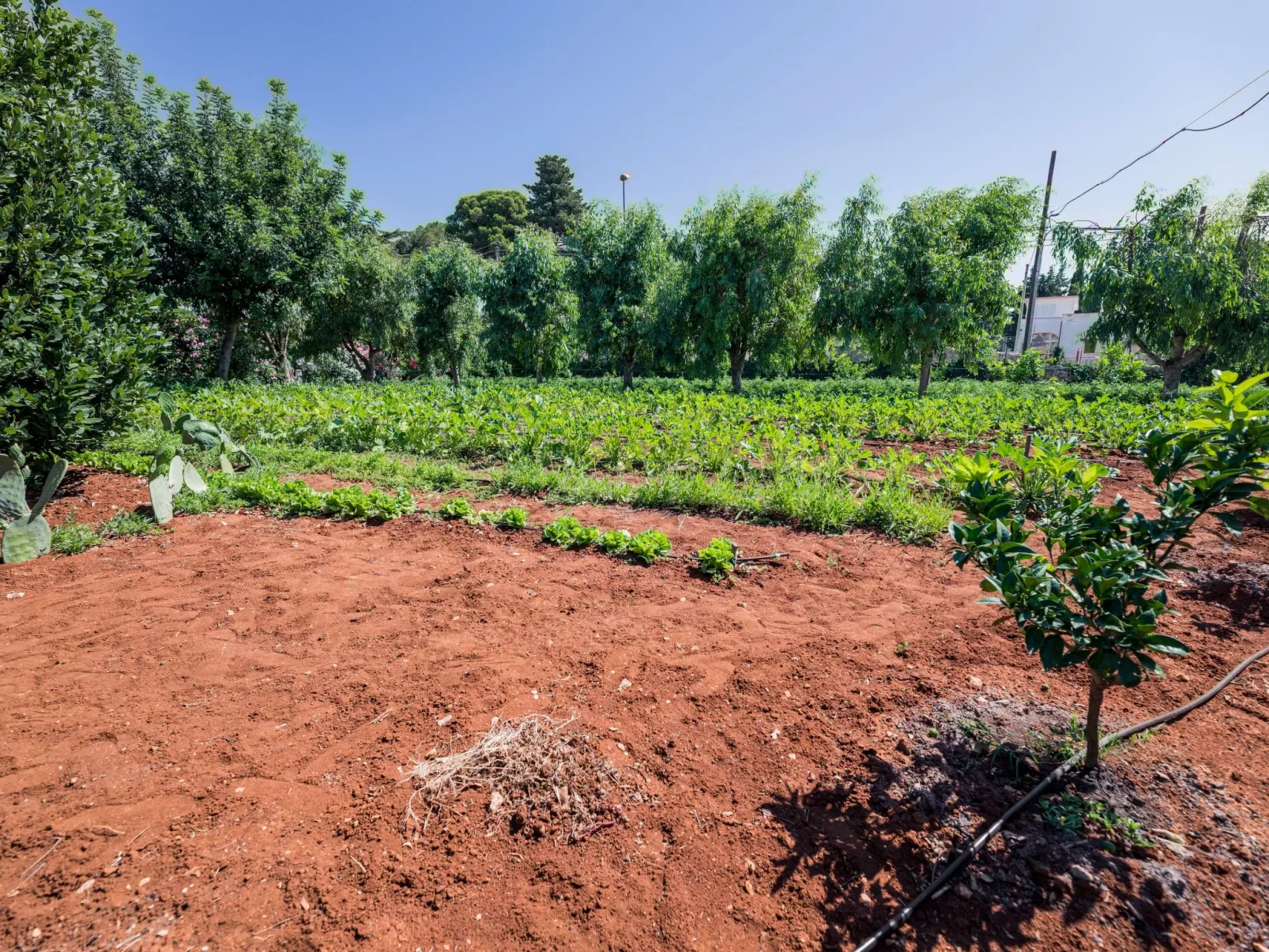 Casal del Borgo 2-Inside