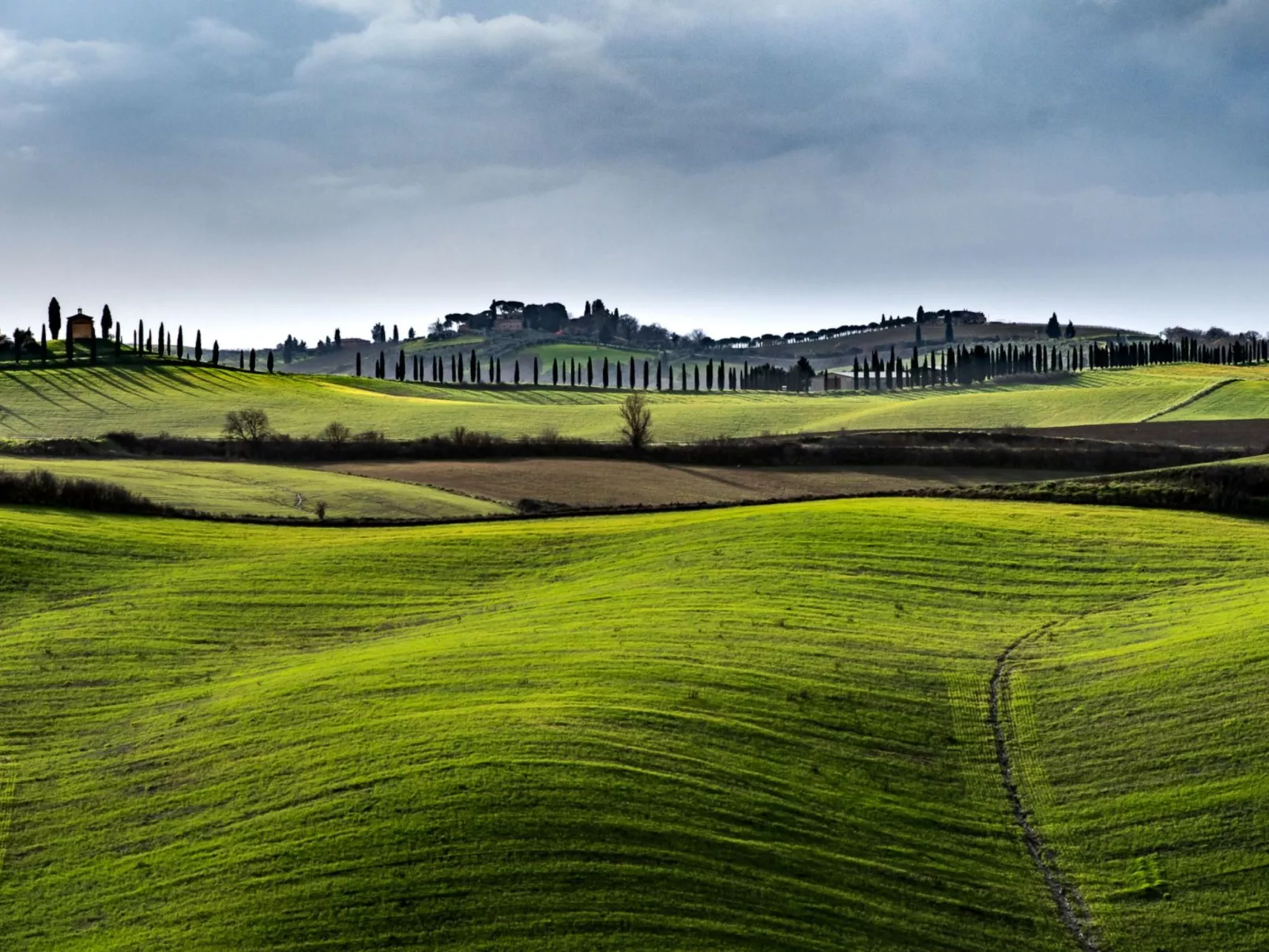 Haus Fiordaliso - Podere Fossaccio-Dedans