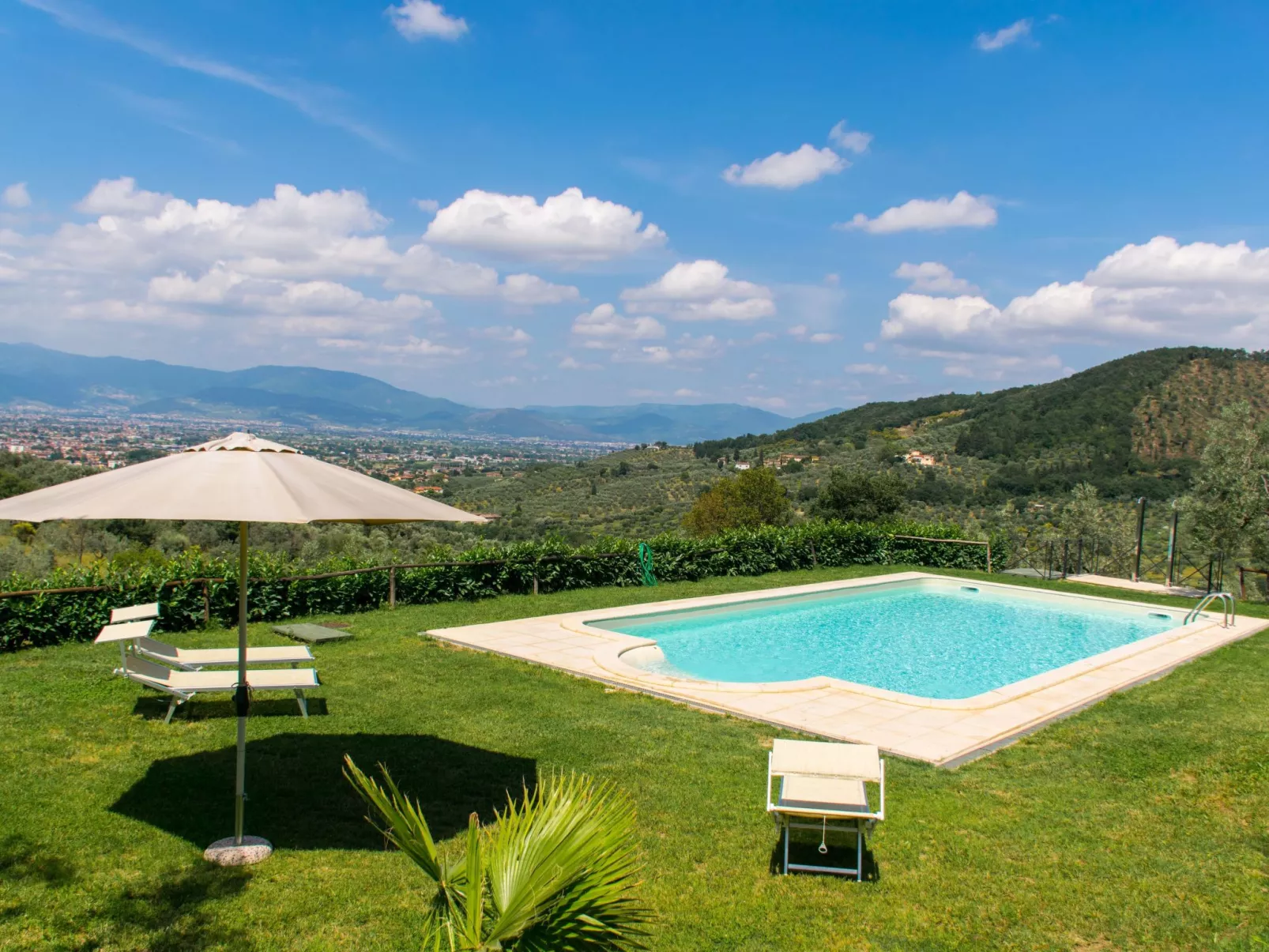 Ein Haus in der Olivenhaine - casa buriano GIULIA-Draußen