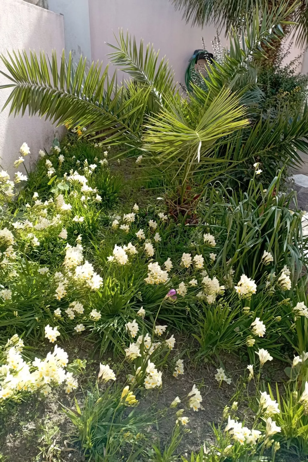 Mit Terrasse-Image-tags.info