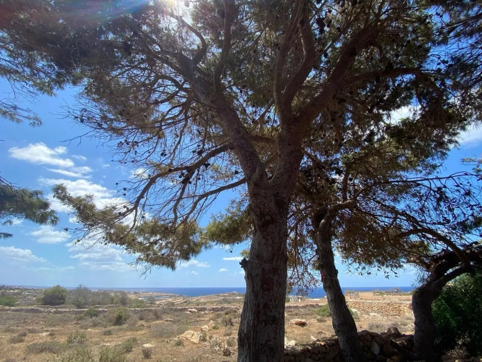 Mar D'Africa 2 von Holiday World-Dehors