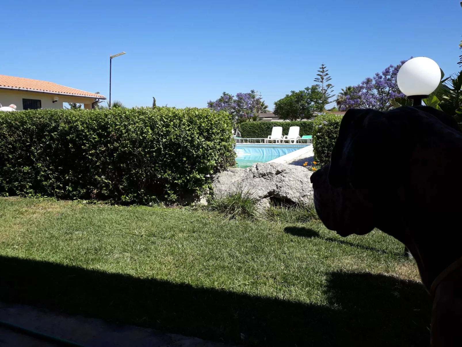 Wohnung 5 - Zwei-Zimmer-Wohnung-Inside