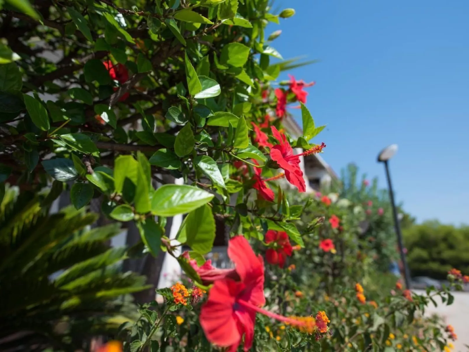Wohnung mit Wasserblick-Inside