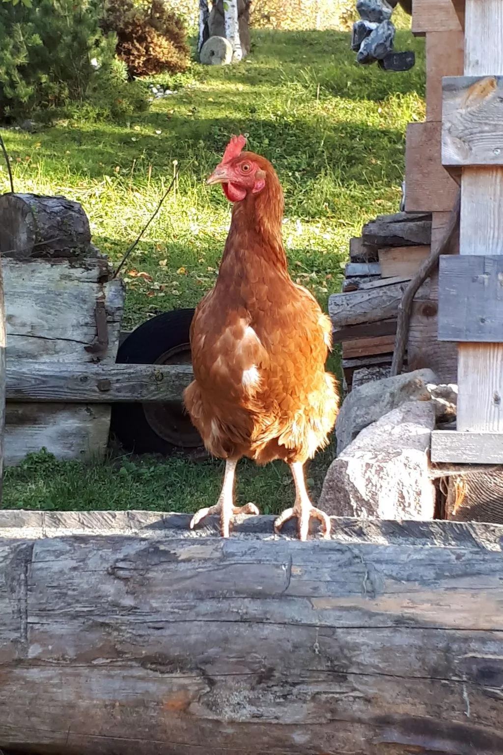 Kompatscherhof-Outside