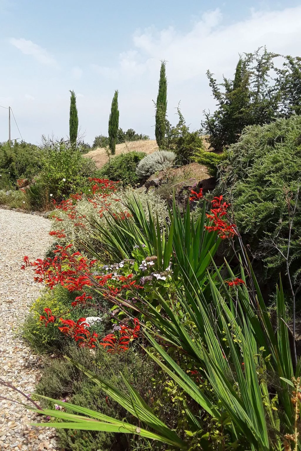 LaPorcilaia, Ferienwohnung mit Seeblick. - Dehors