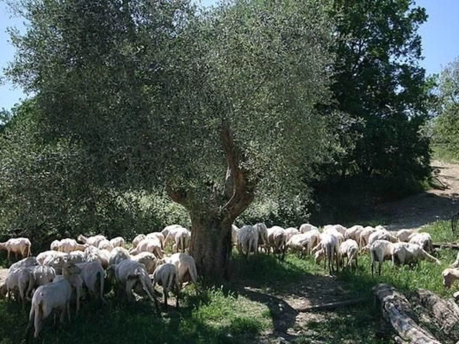 Freistehendes Bauernhaus-Outside