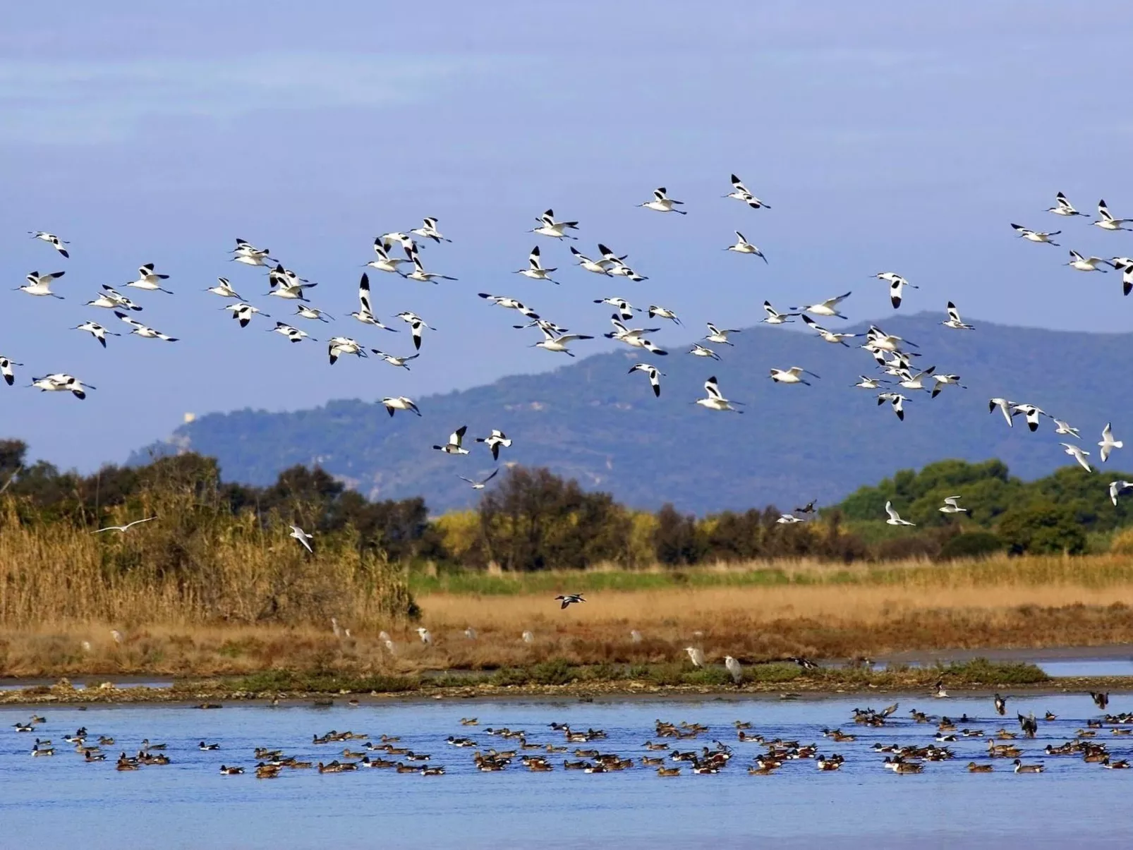 Anwesen mit Gemeinschaftspool-Dedans