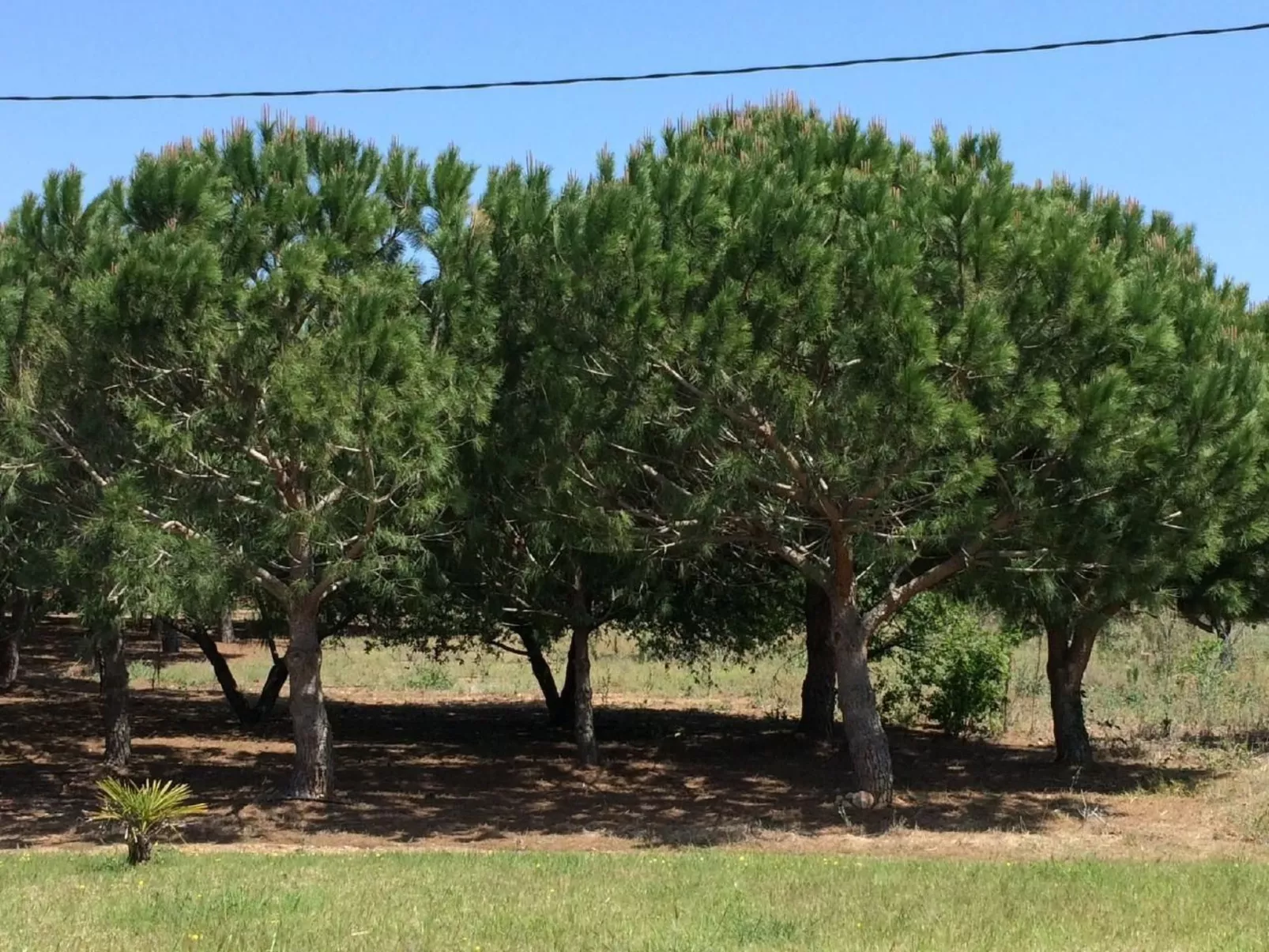 Design Vila mit Pool-Outside