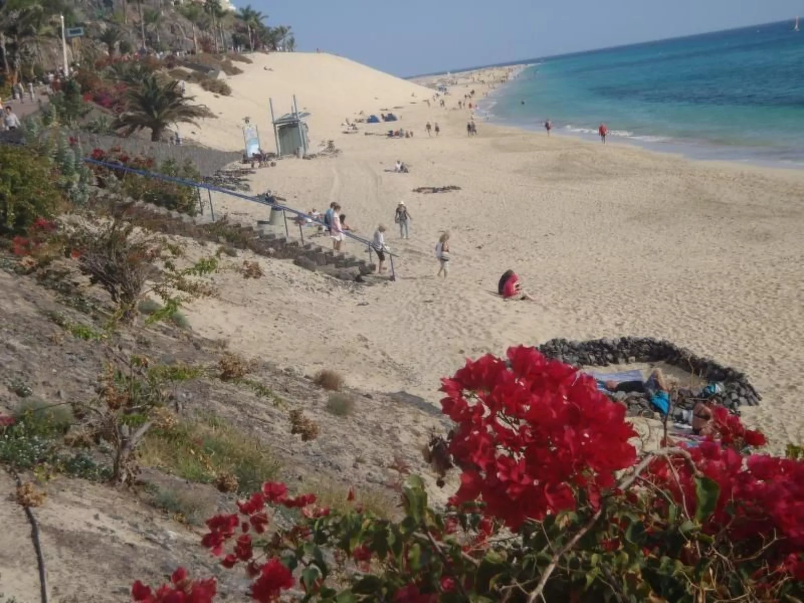 Tajinaste SOL-Inside