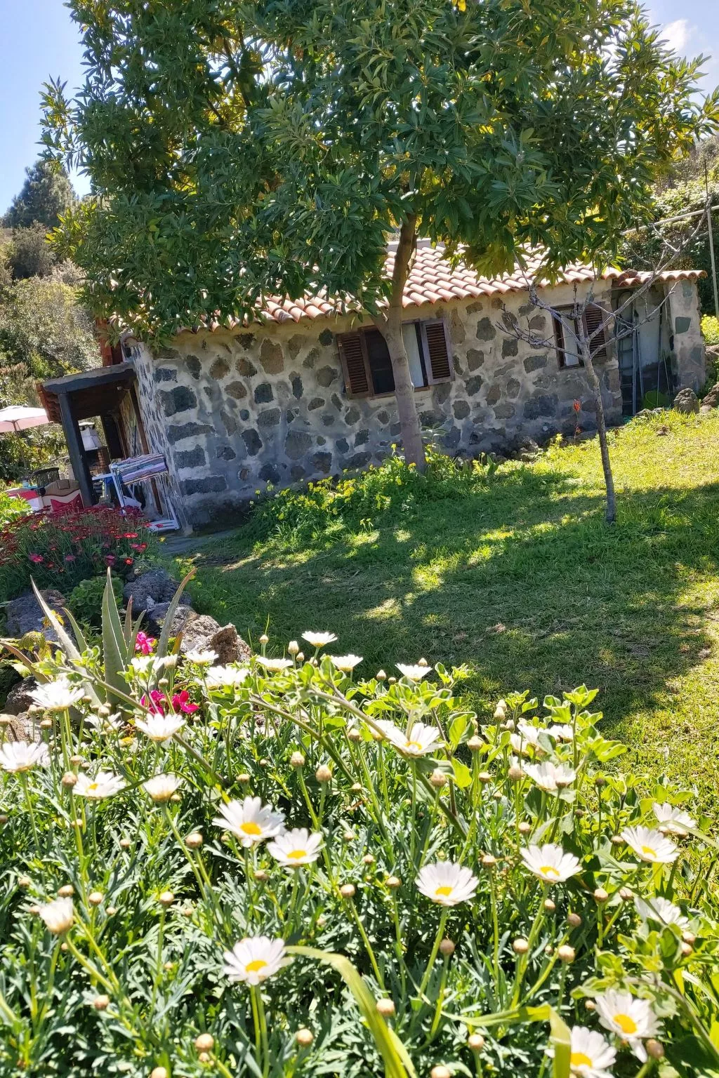 FW Cueva del Viento-Image-tags.info