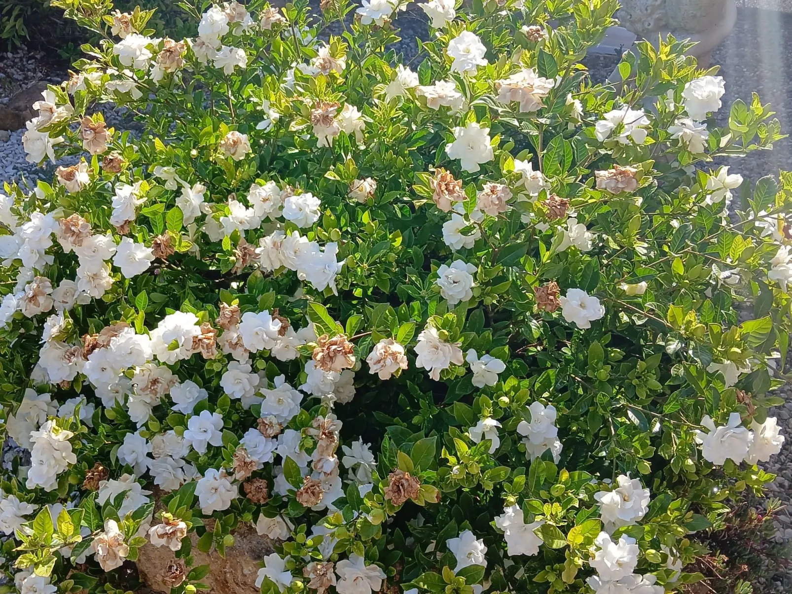 Wohnung mit Wasserblick-Inside