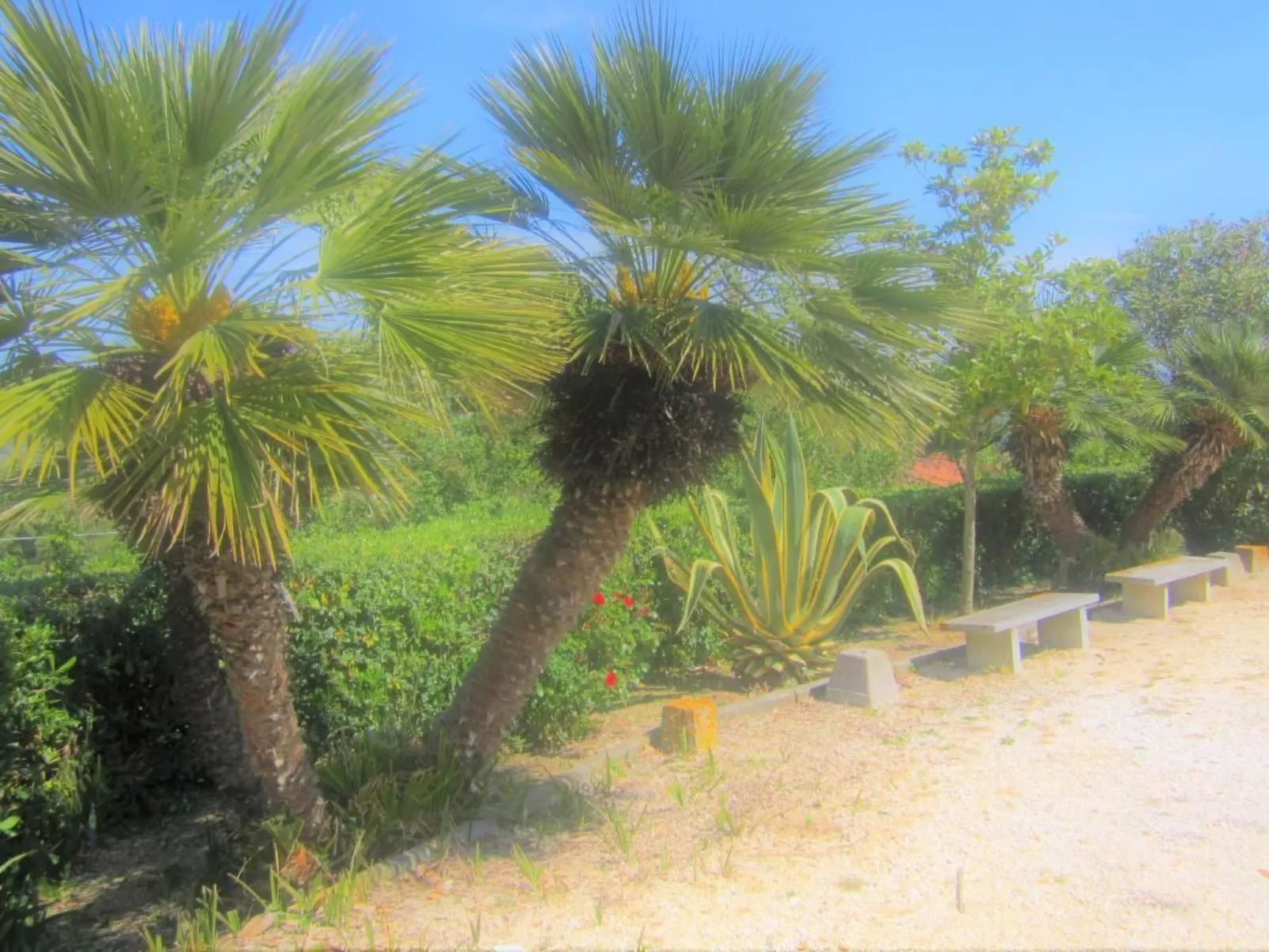 Mit Wasserblick-Inside