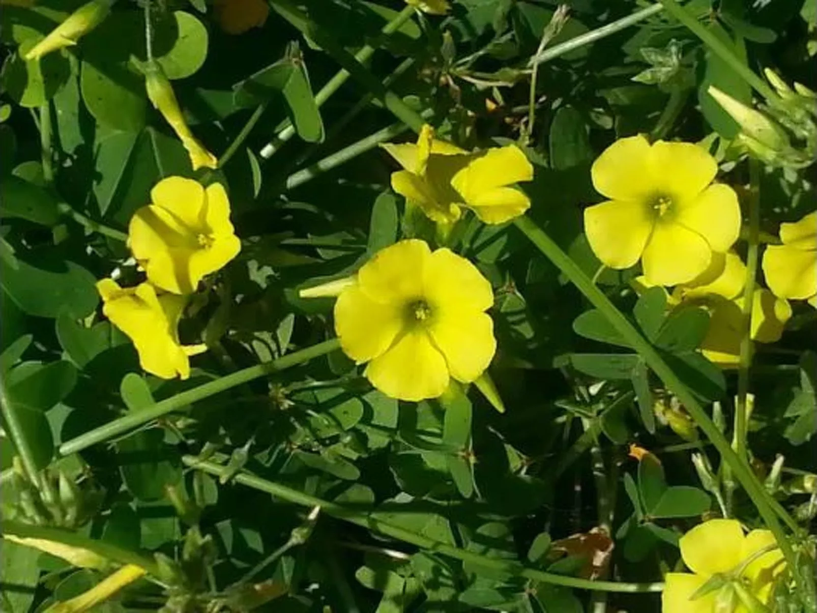 VanessaHolidayHome Erster Stock in Cava d'Aliga-Inside