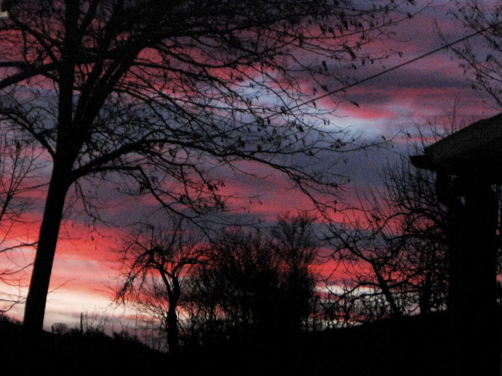 Flacher Flieder-Draußen