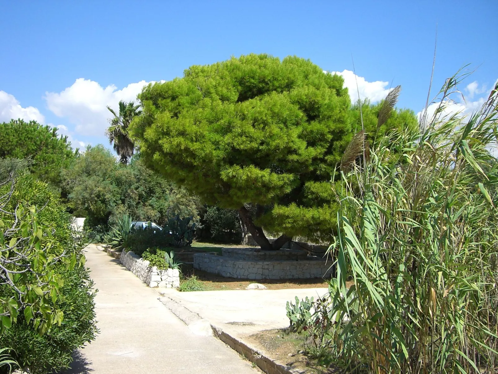 Mit grosser Terrasse direkt am Meer-Dedans