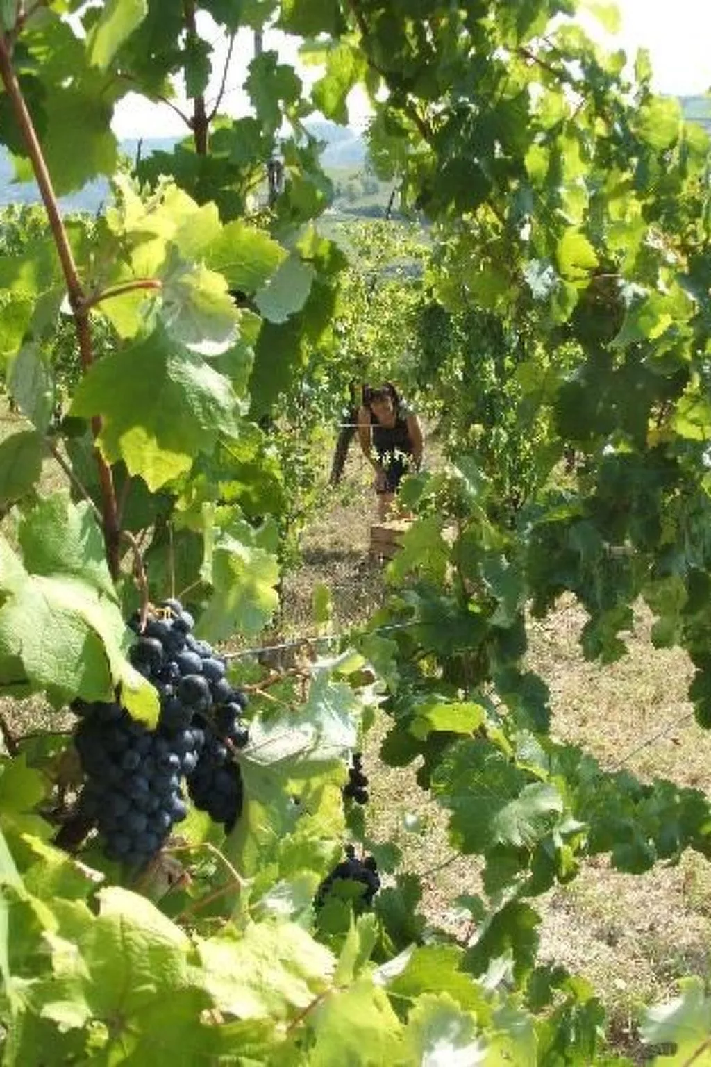 Wohnung mit Panoramablick für 2 Personen-Outside