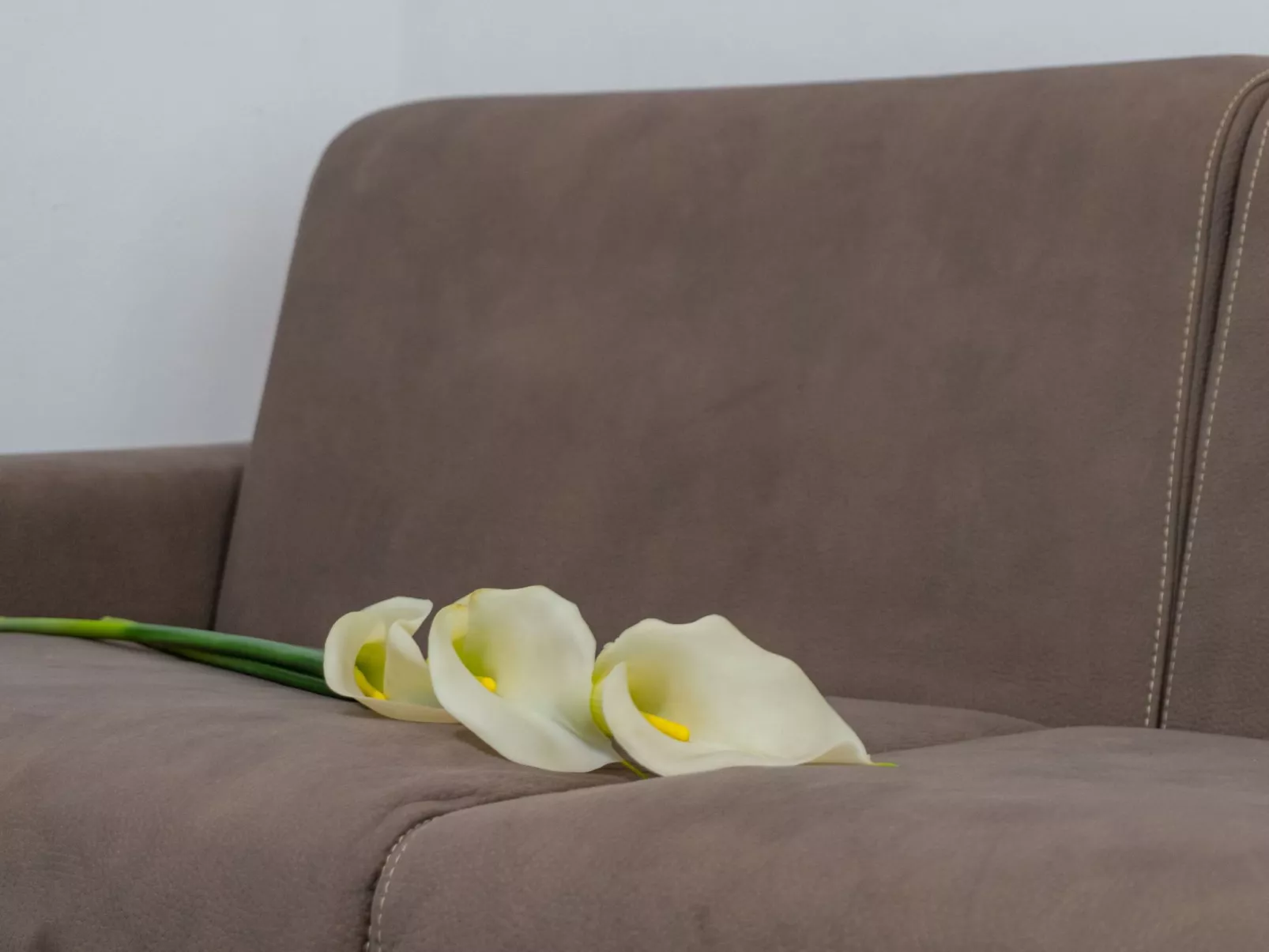 "Ollimpia 82"-Inside