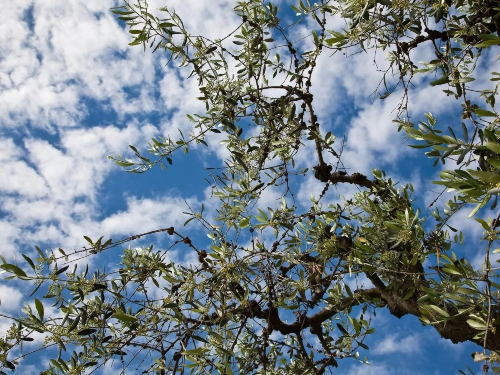 Blaue Wohnung-Dehors
