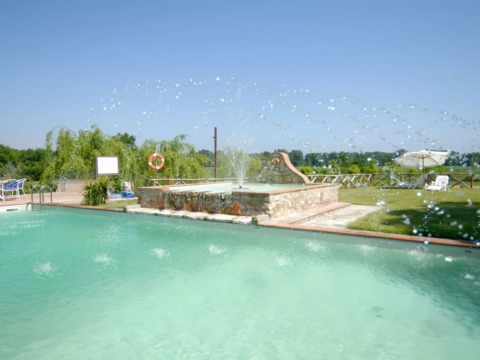 Haubentaucher-Inside