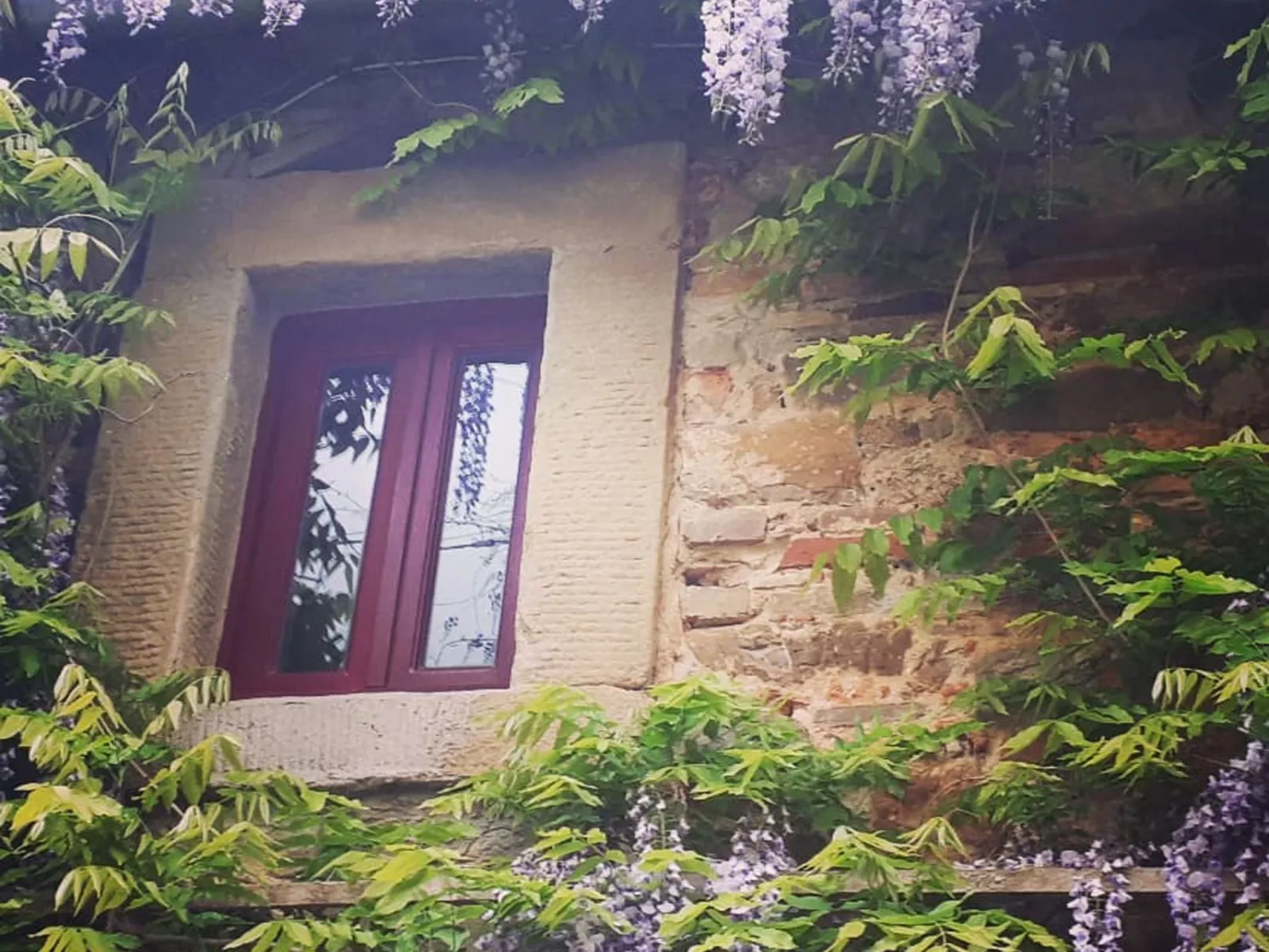 Landgut "Il Molino" mit Terrasse und Garten-Outside