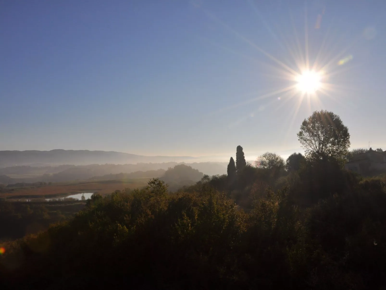 Sonnenblume Wohnung-Inside