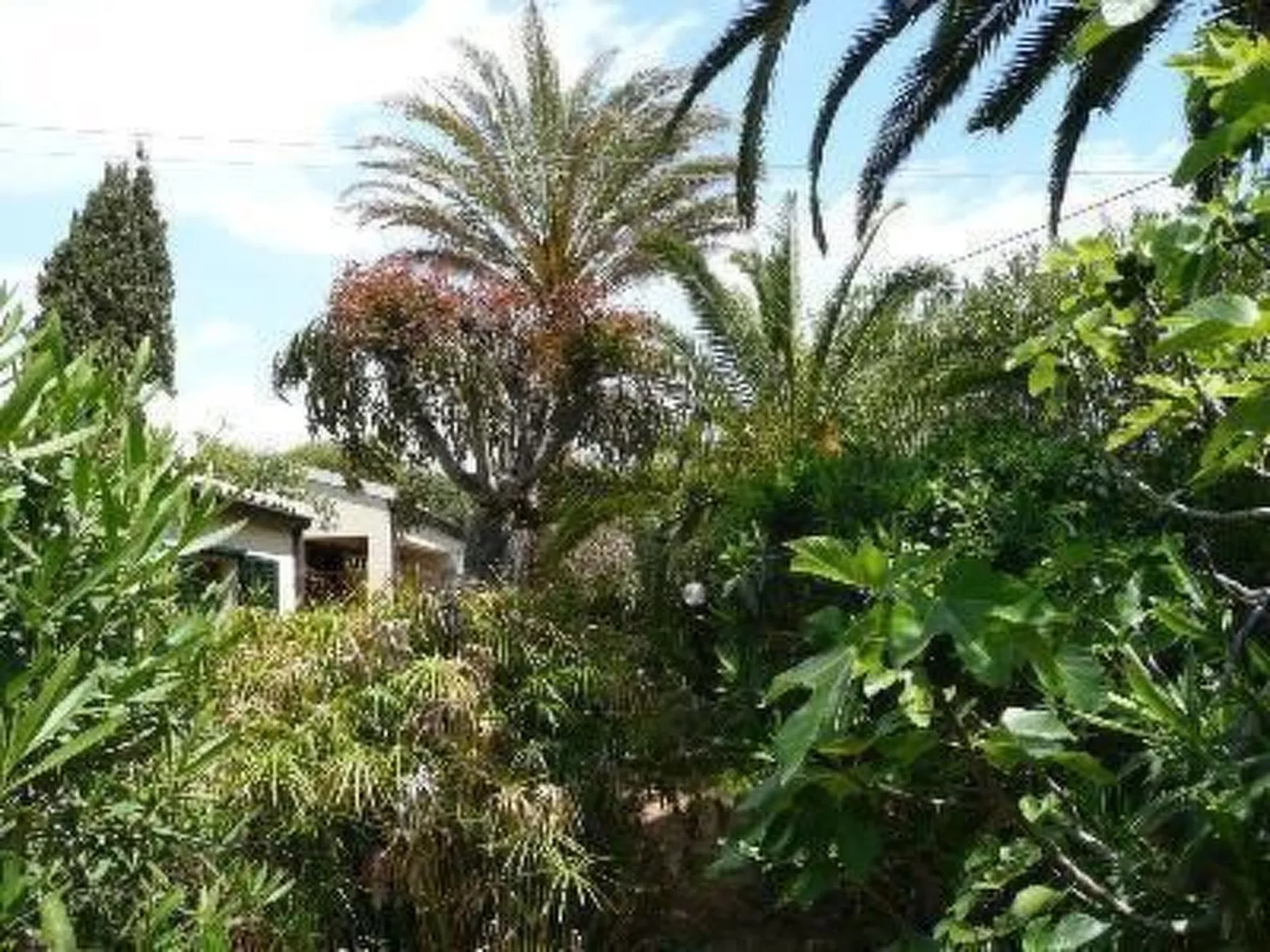 Schöner Bungalow direkt am Sandstrand auf Sizilien-Inside