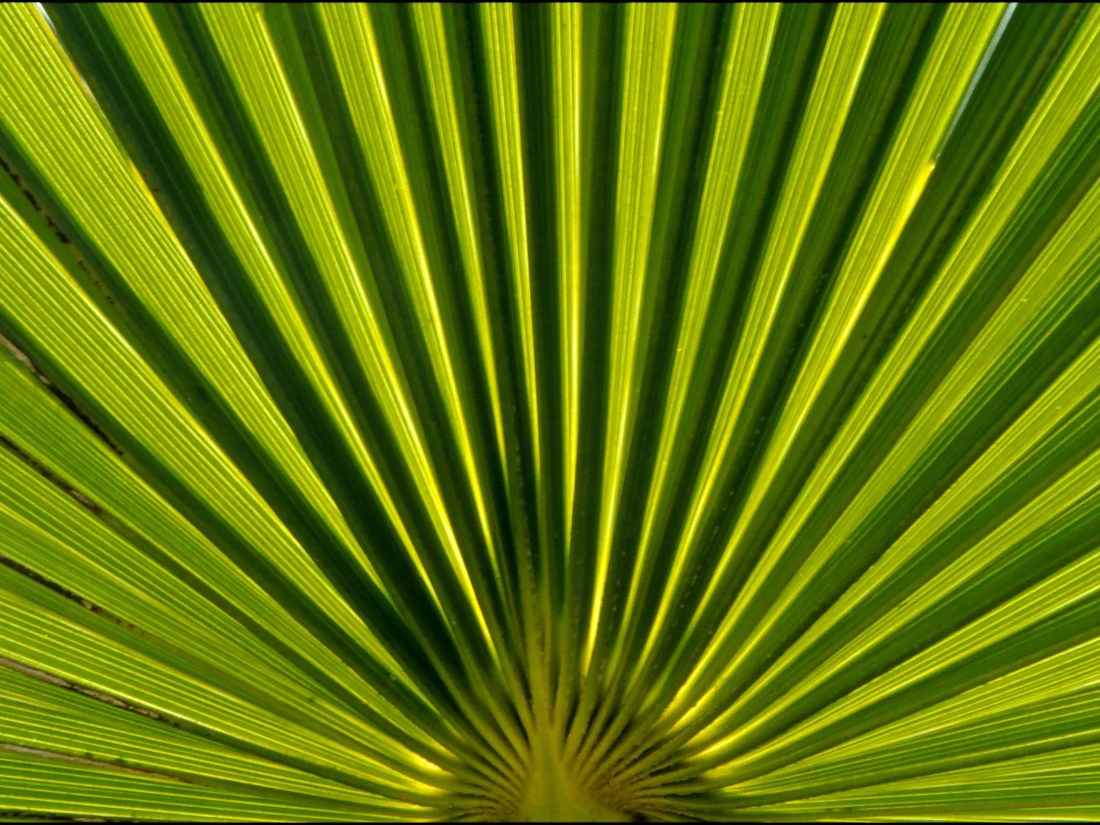 Studio in Strandnähe-Outside