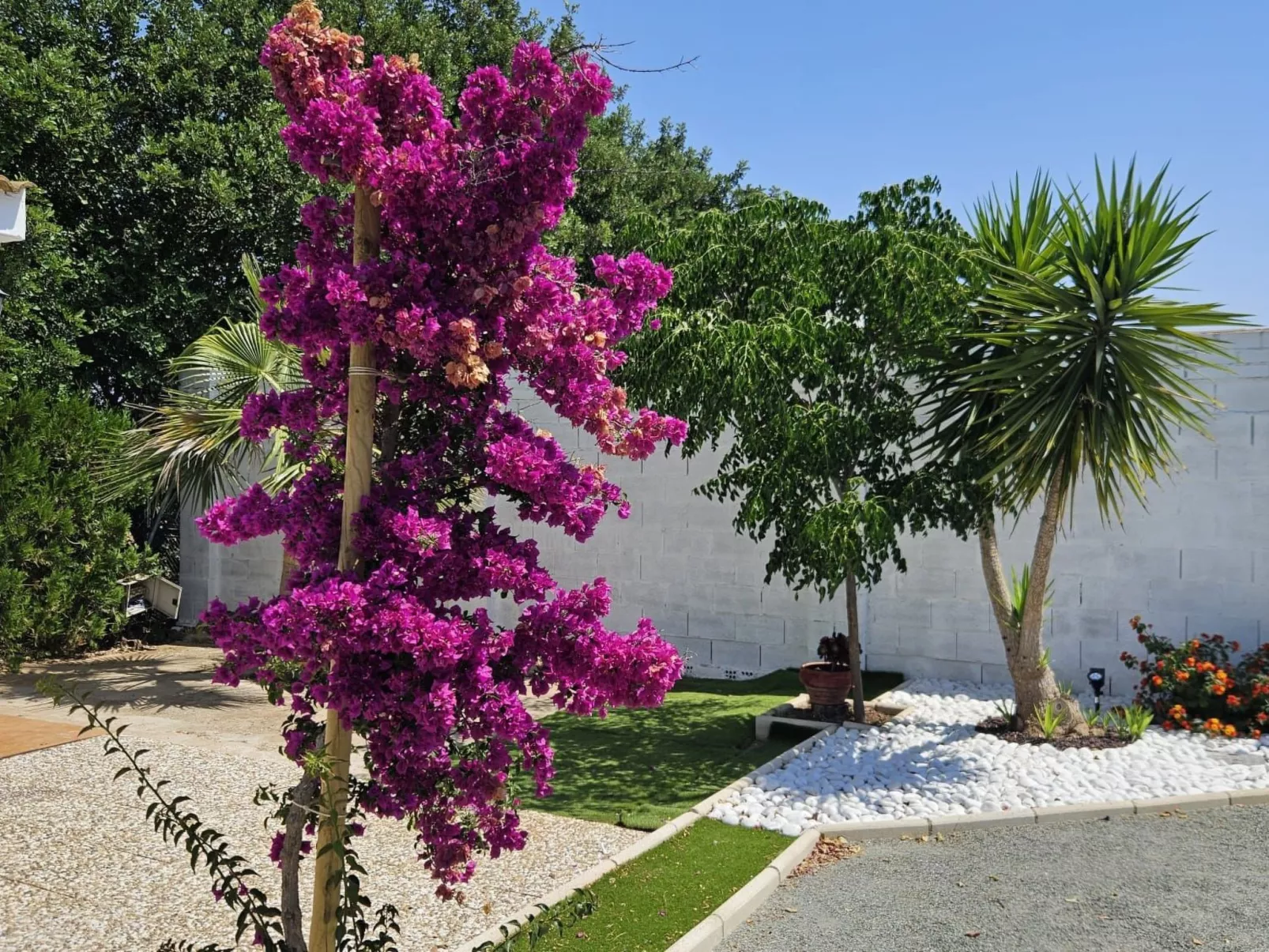 Casa Rural Die Hoffnung-Dehors