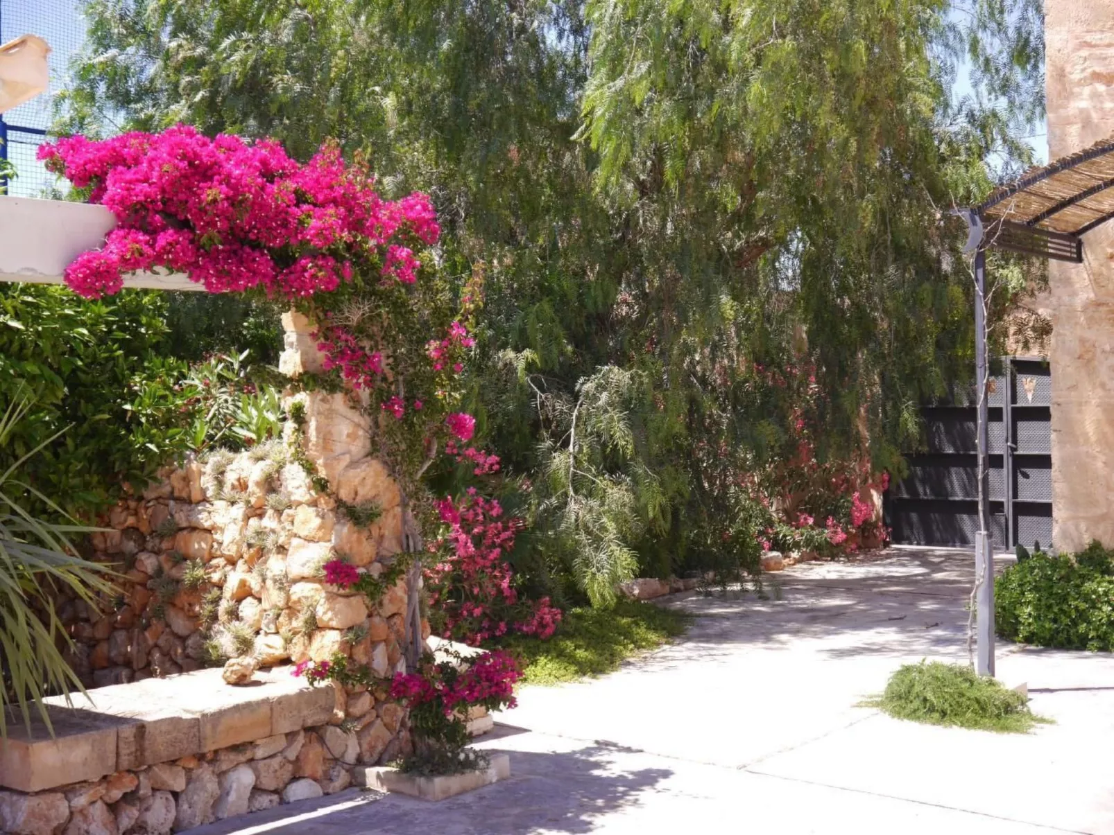 Casa 3 Leones-Image-tags.info