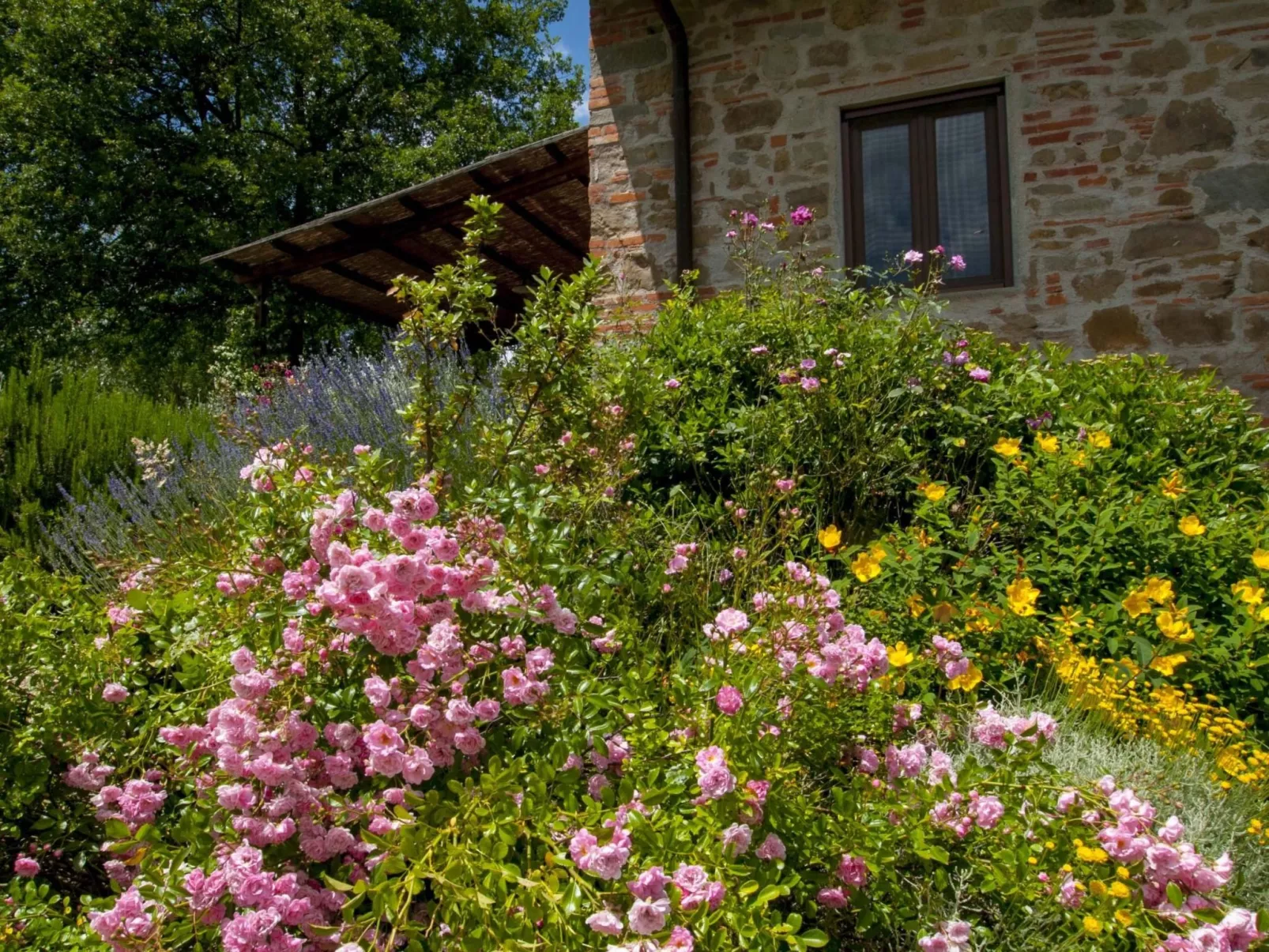 Anwesen "Frantoio" mit Infinity-Pool-Outside