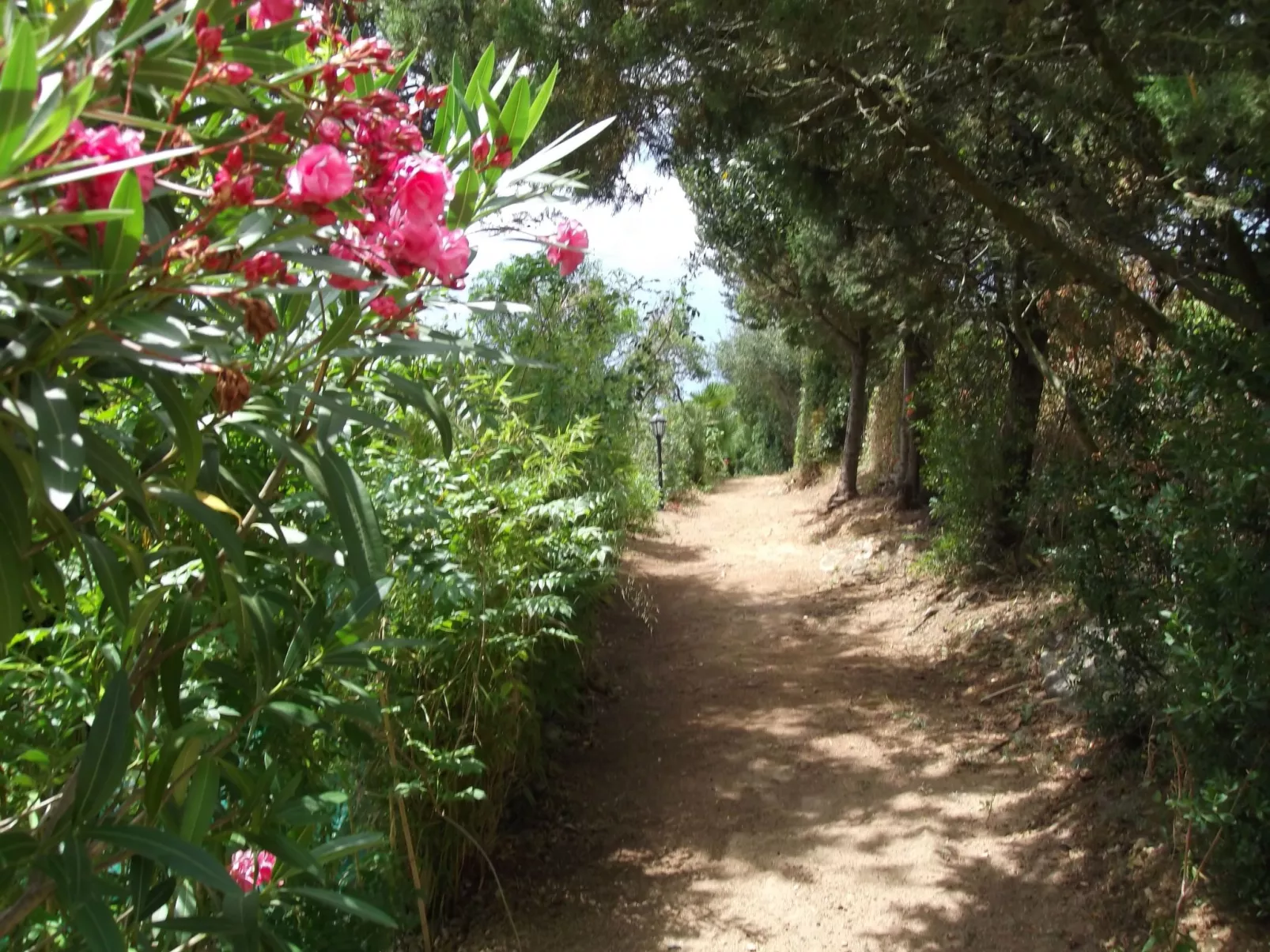 Casa Montecote Öko-Resort - La Casita-Inside