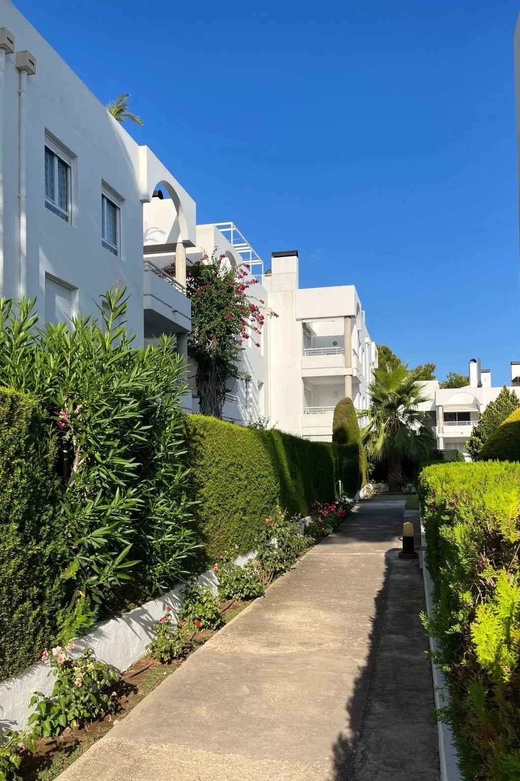 ISholidays Acron Puerto Pollensa-Dehors