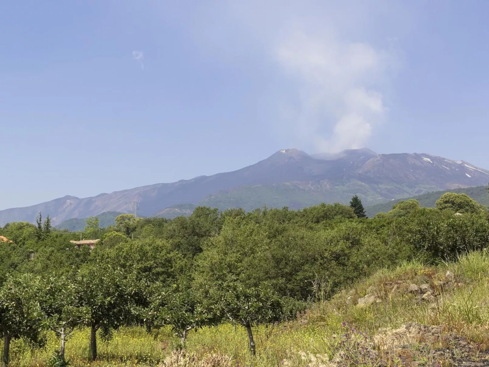 Villa Le Vignoble in Montargano-Drinnen