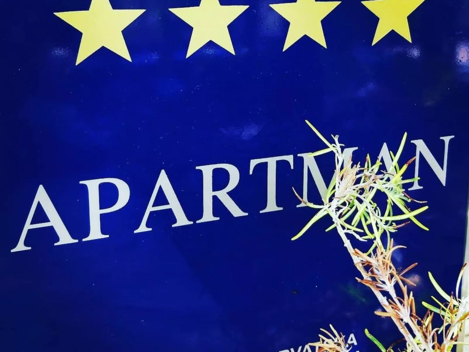 Michele-Mandarin-Draußen