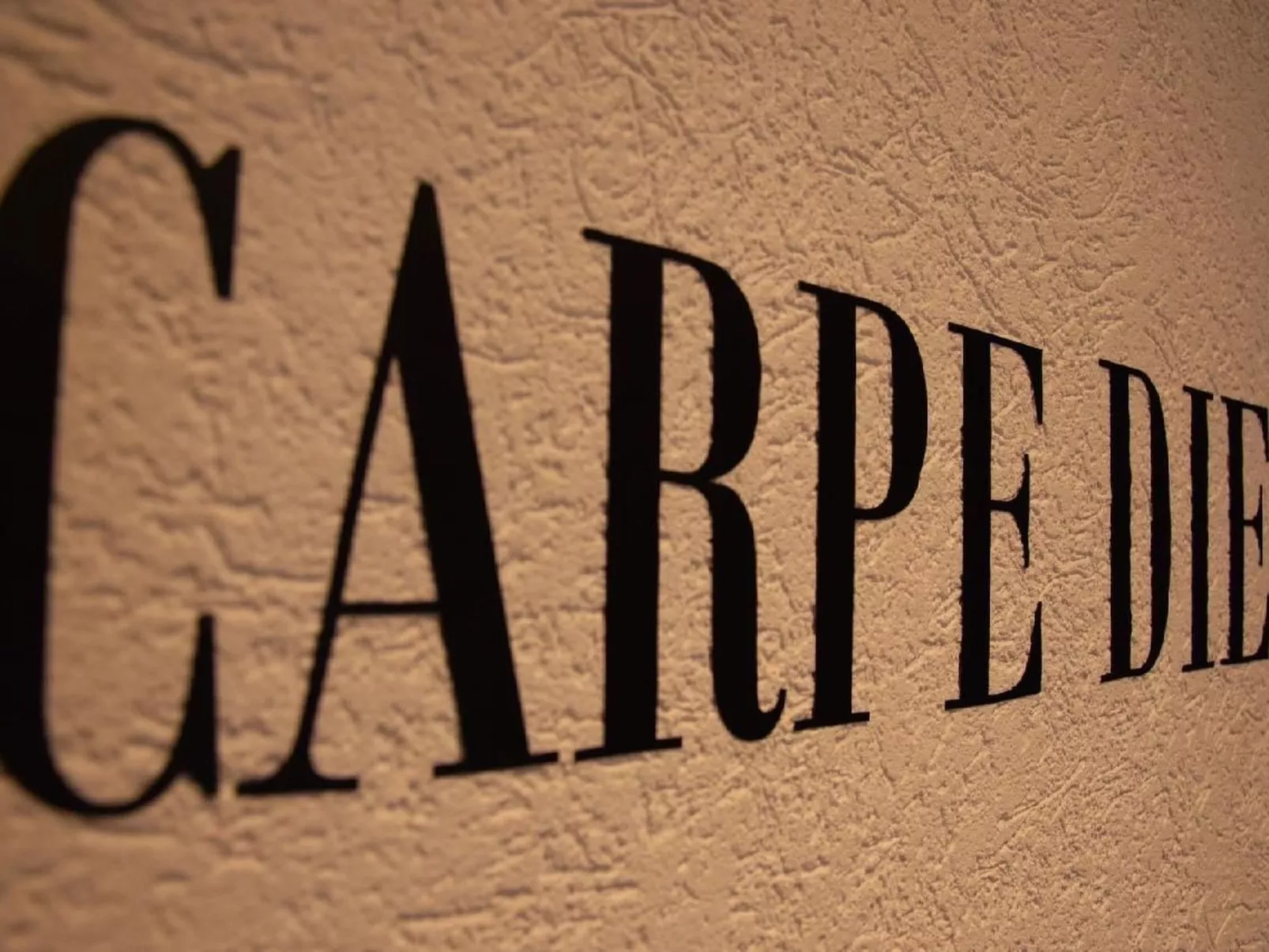 Chalet Friedrich-Dedans