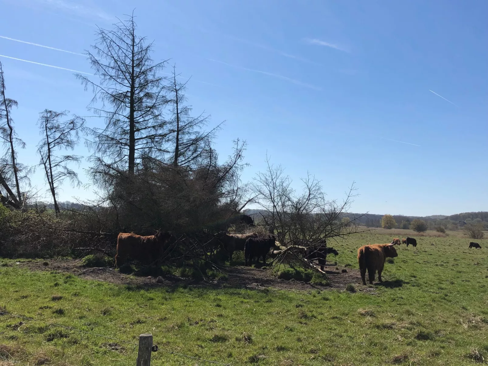 Ferienwohnung-Image-tags.info