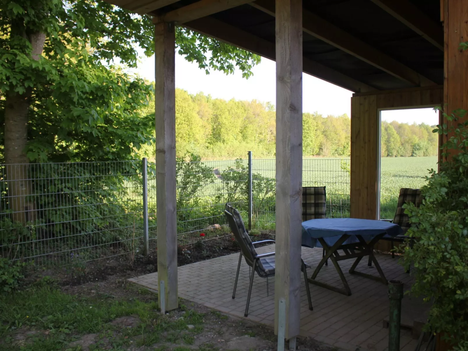 Waldrand in Ascheffel-Outside