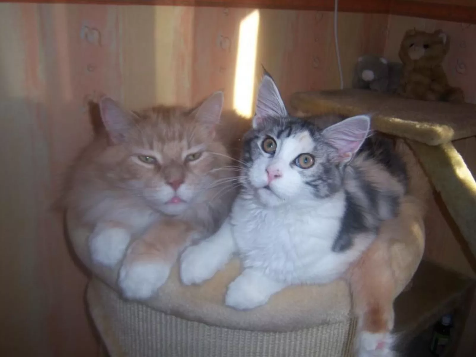 Westrich in guter Ausflugslage-Inside