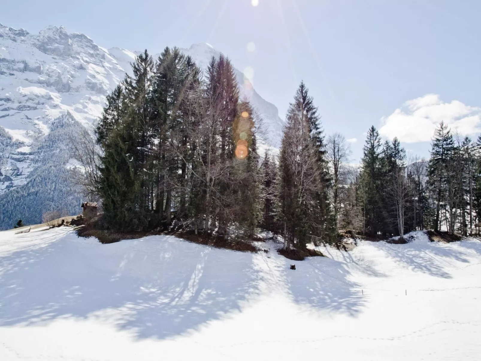 Apartment Grindelwaldgletscher-Draußen