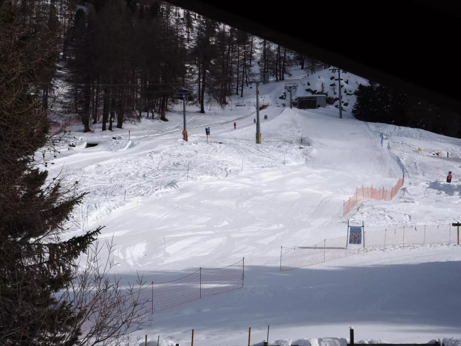 Chasura-Image-tags.info