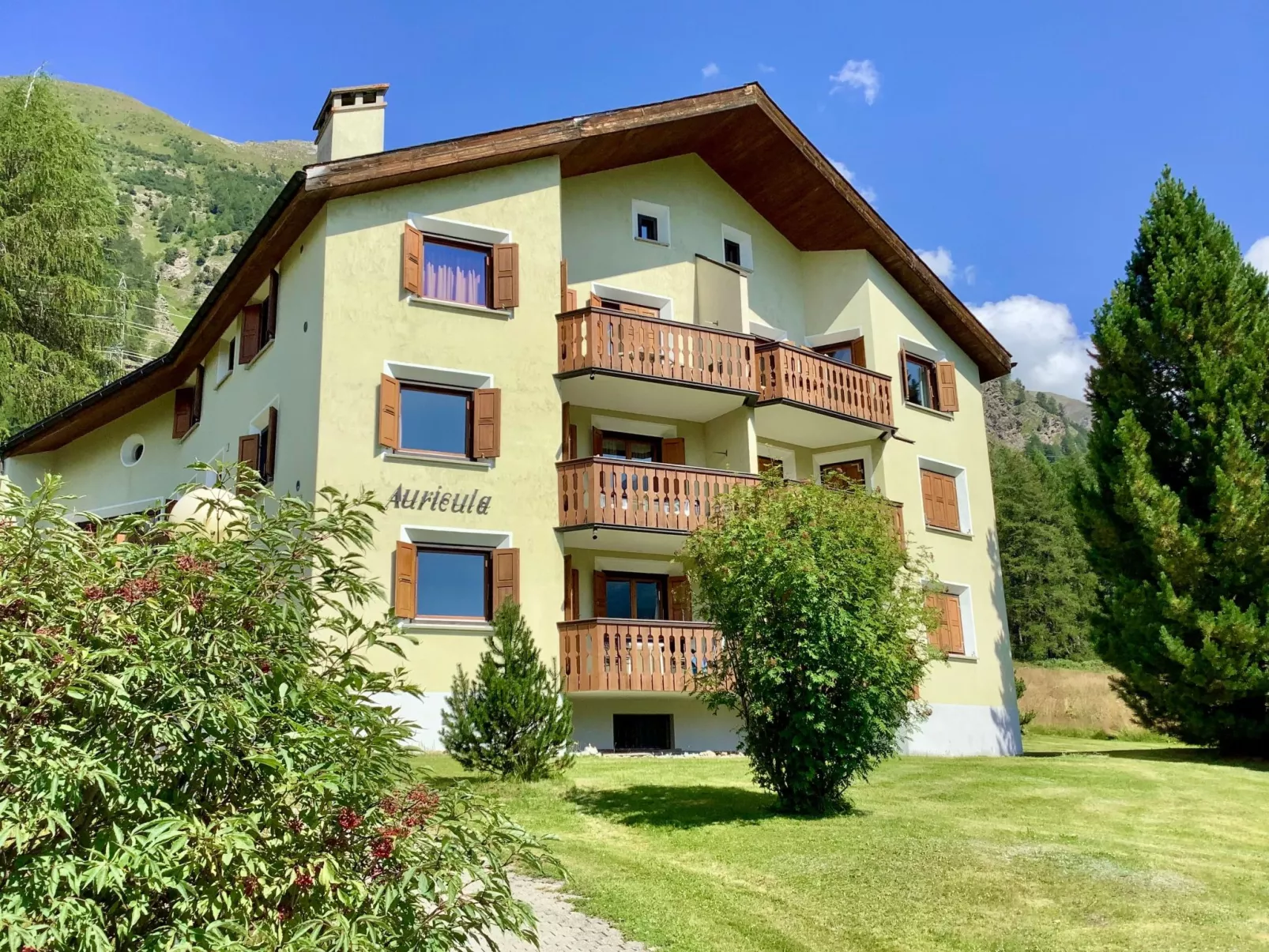 Chesa Auicula-Drinnen