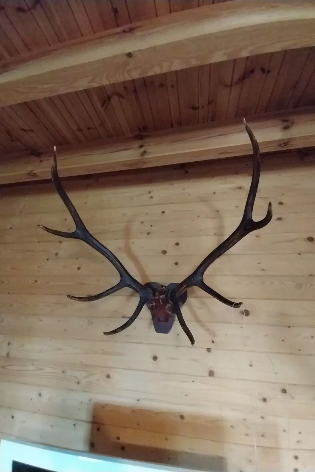 "Eagle Cottage II" unbeschwerter Urlaub-Drinnen