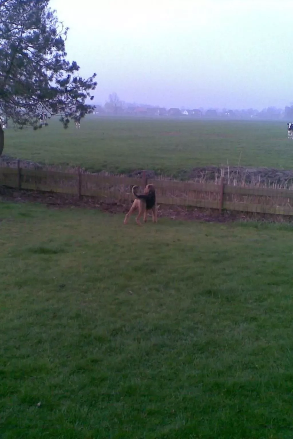 Nurdachhaus Klabautermann mit Terrasse und Garten-Image-tags.info