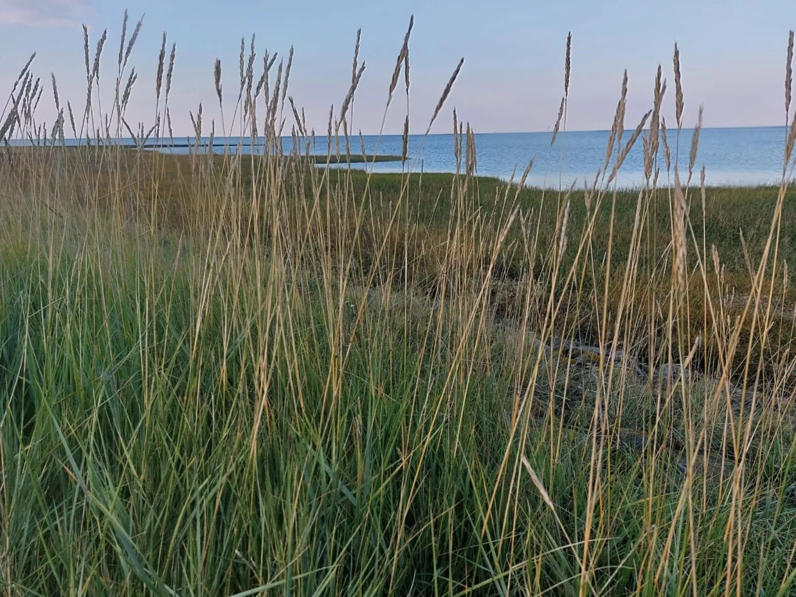 FeWo Hafenkieker-Image-tags.info