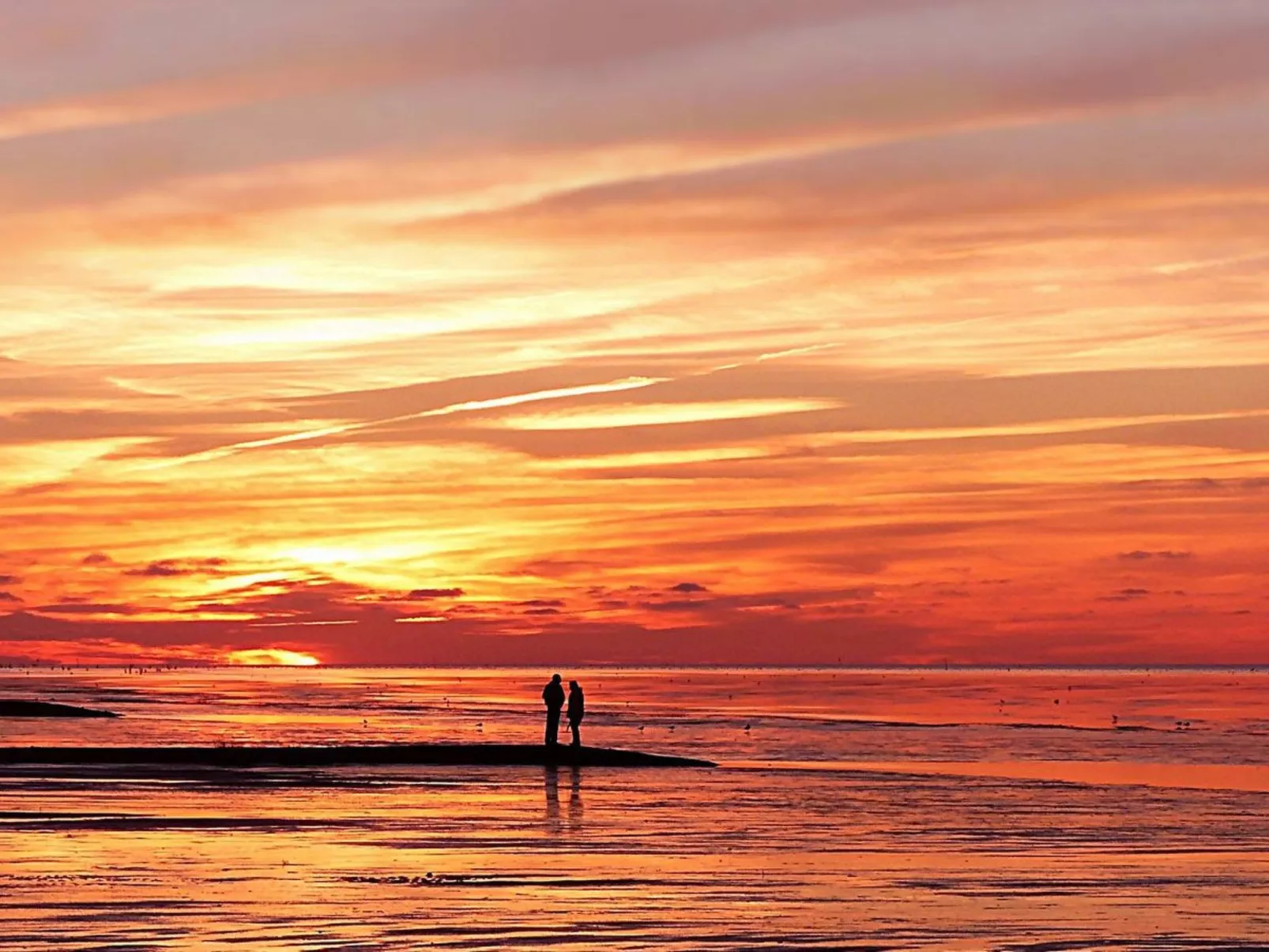 In Burhave mit Großer Terrasse-Outside