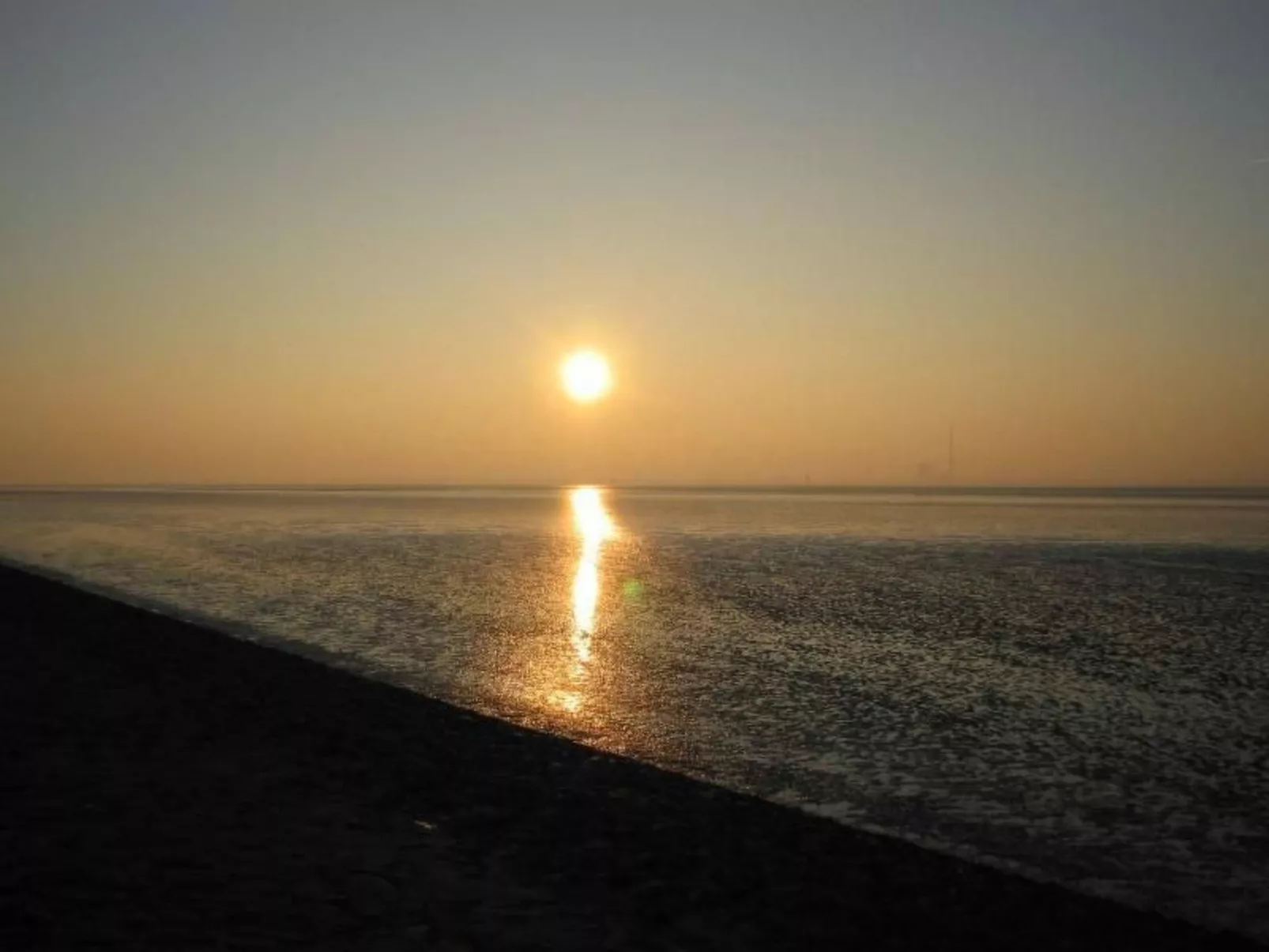 Seepferdchen-Draußen