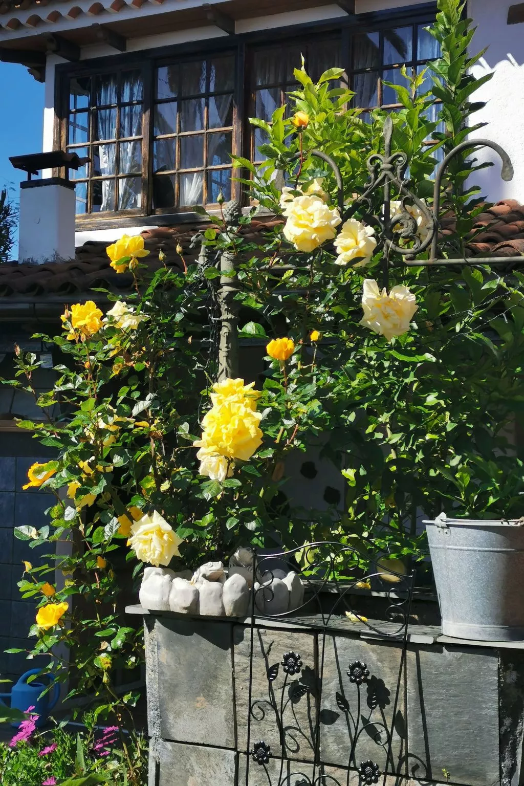 Renovierte Finca Paradies mit privatem Pool-Dehors