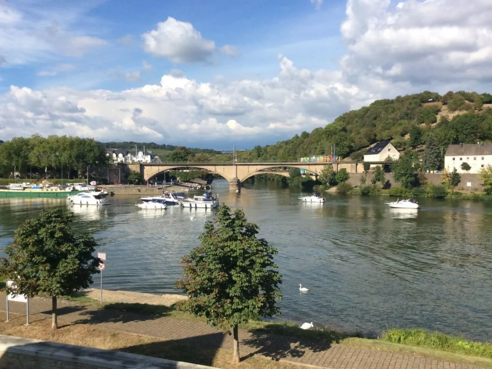 Einzigartige Lage direkt Mosel und Radweg.-Image-tags.info