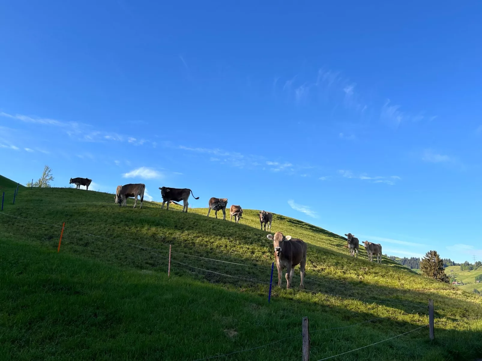 Sonnige Maisonette-Dehors